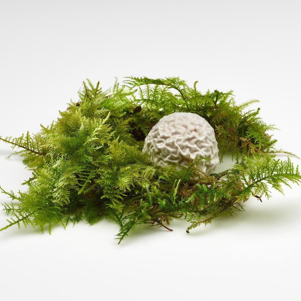 Edible Rocks Mugaritz Mugaritz - Dolici